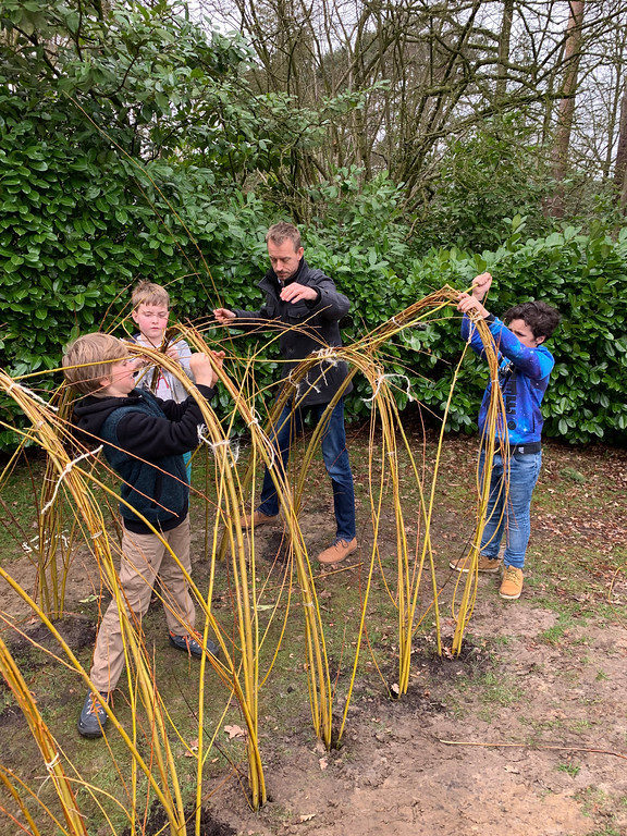 Ons zesde leerjaar bouwt een wilgentunnel